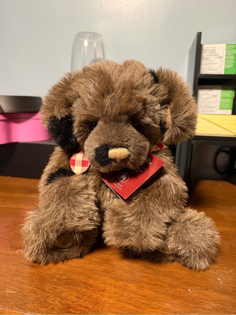 Charlie Bears Boomerang NWT